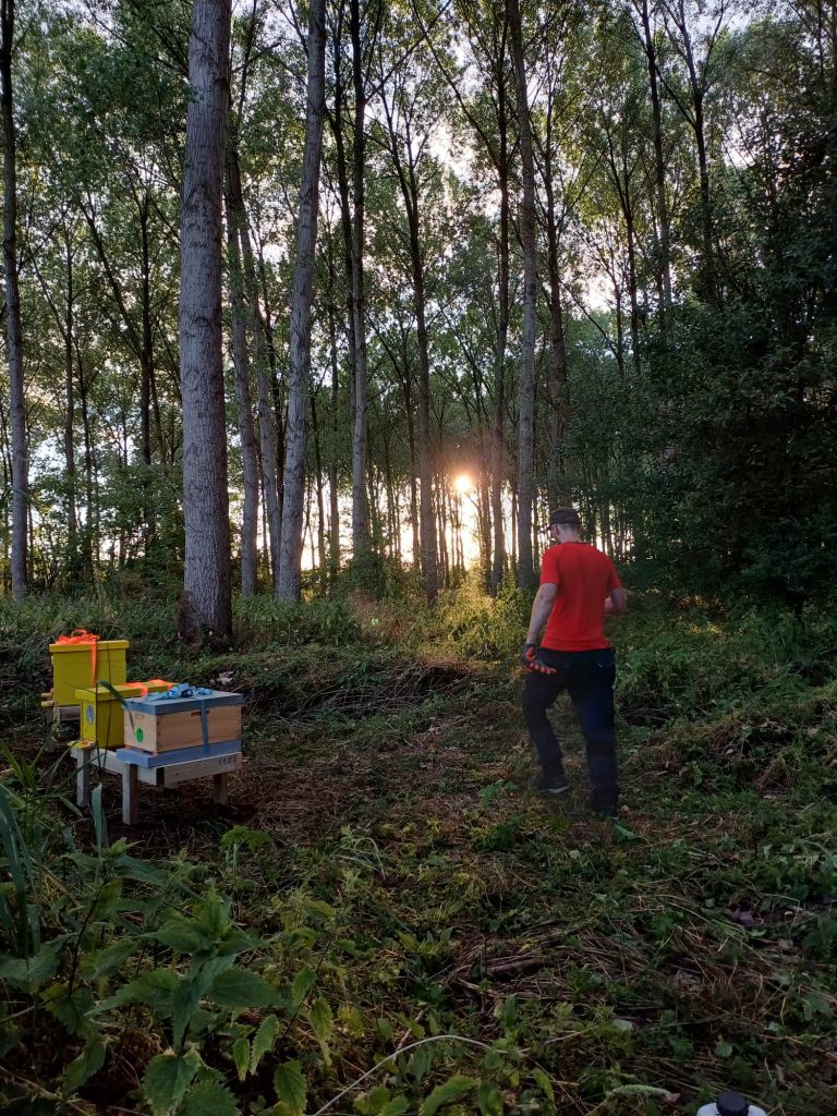 natuurlijke-honing-van-nederland