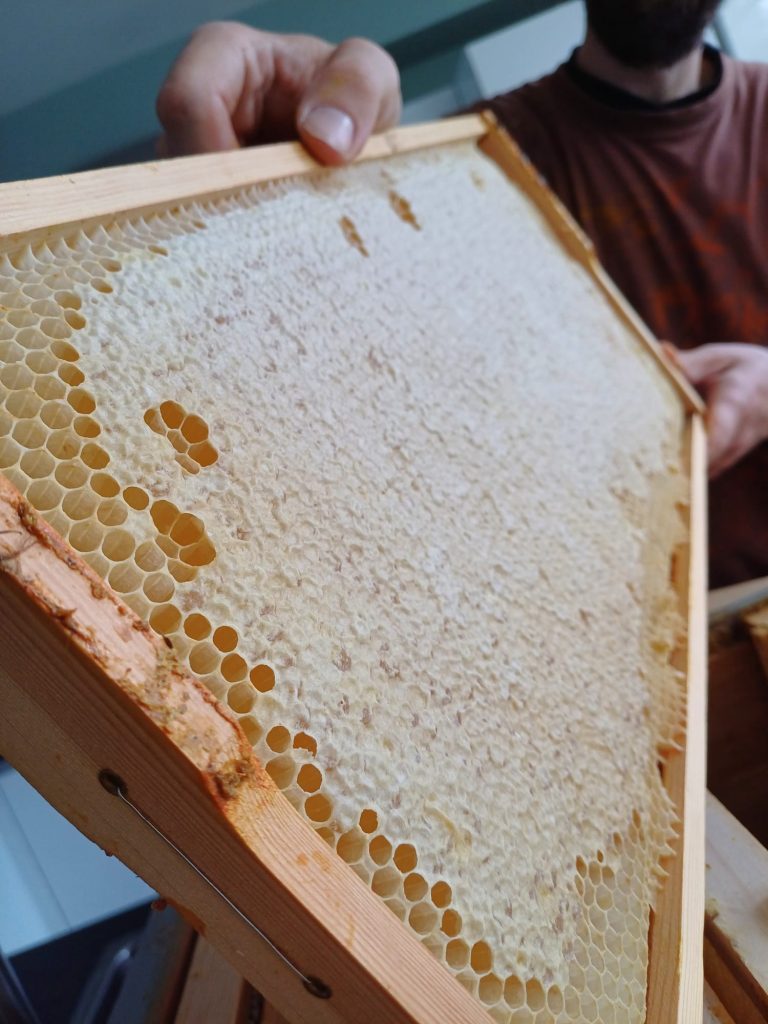 beehive-frame